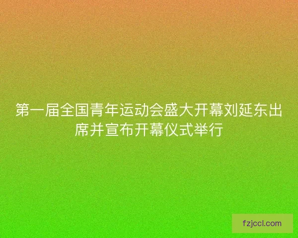 第一届全国青年运动会盛大开幕刘延东出席并宣布开幕仪式举行
